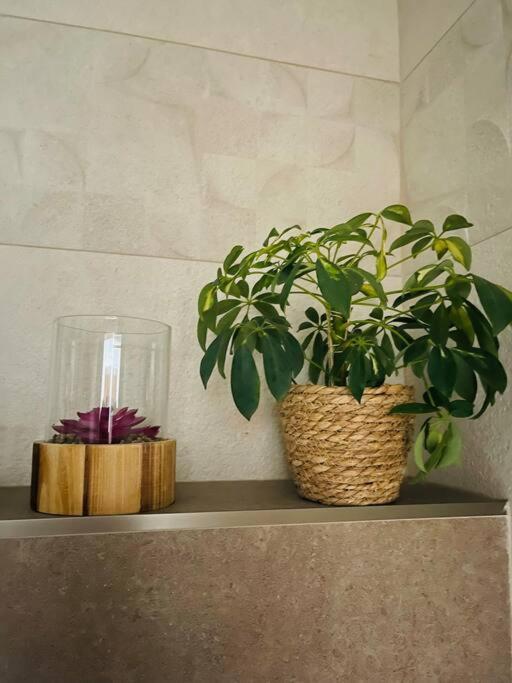 Sparrow Apartmens - Vrabcia Ulica 9, Košice Εξωτερικό φωτογραφία